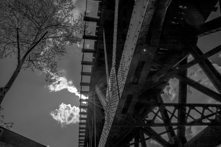 Tree Cloud Sun Bridge