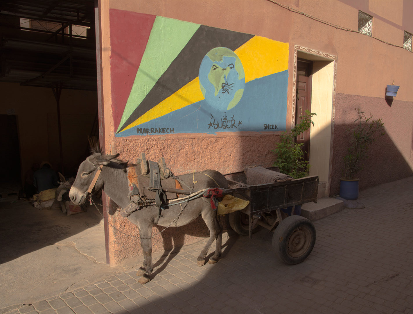 Marrakech Donkey