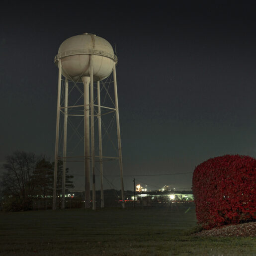 Water Tower and a Red Bush
