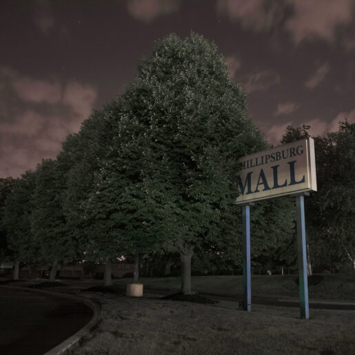 Tree eats Mall