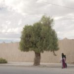 A Mother Baby and a Tree
