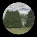 Big Tree Little House