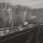 Cement Truck