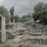 Ionic Column in the Trees