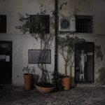 Three Planters