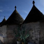 Trulli cactus
