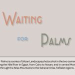 Waiting for Palms Webpage 4