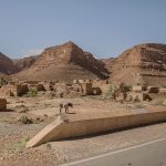 a donkey in the village