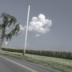 Tree Pole Cloud Corn