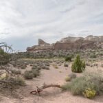 Canyonland Vignette